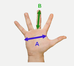 calcul taille gants jardinet